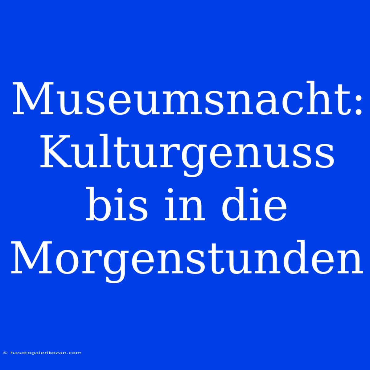 Museumsnacht: Kulturgenuss Bis In Die Morgenstunden