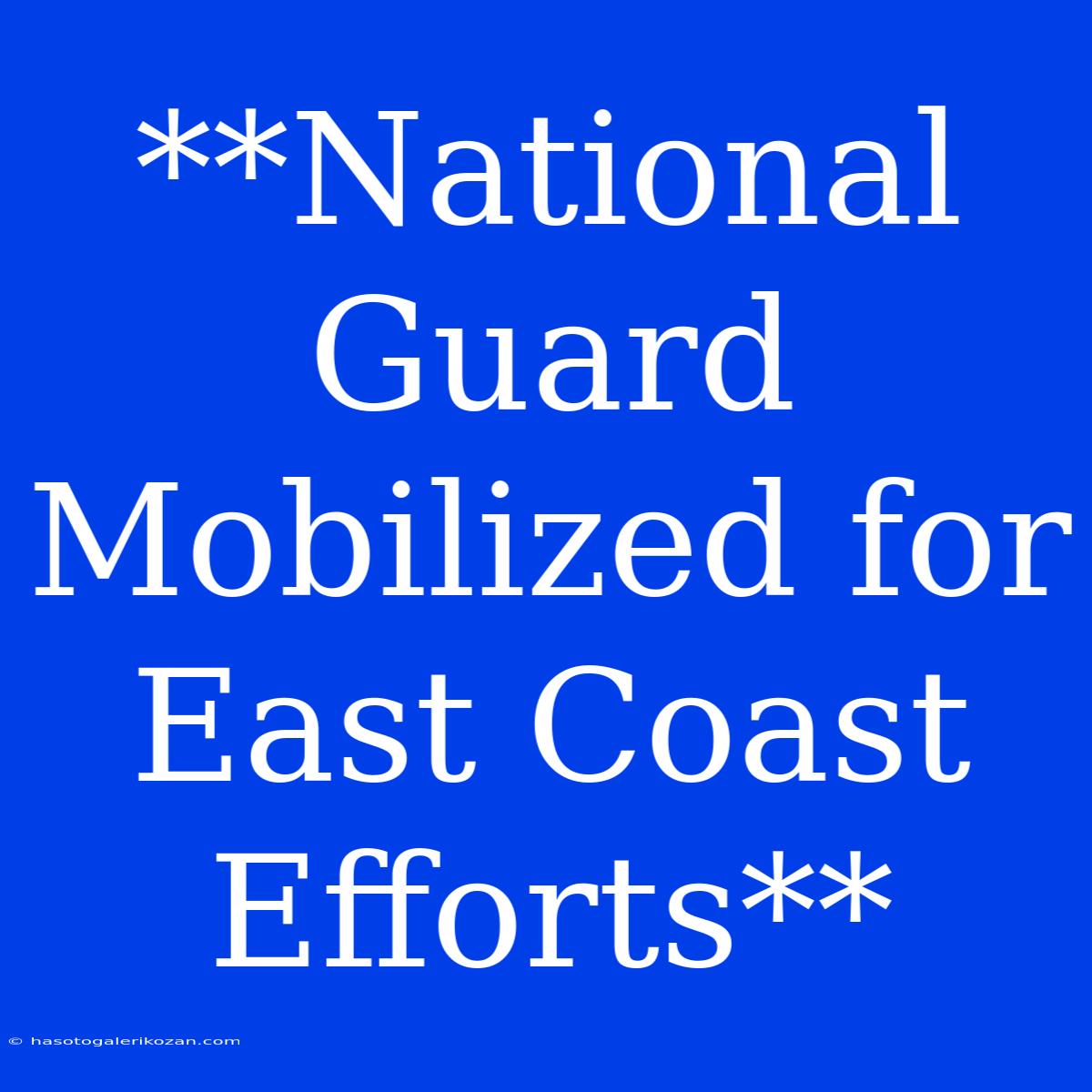 **National Guard Mobilized For East Coast Efforts**