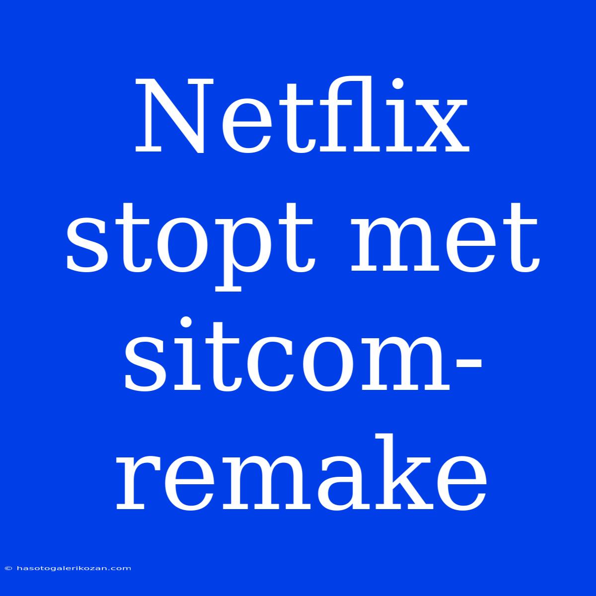 Netflix Stopt Met Sitcom-remake