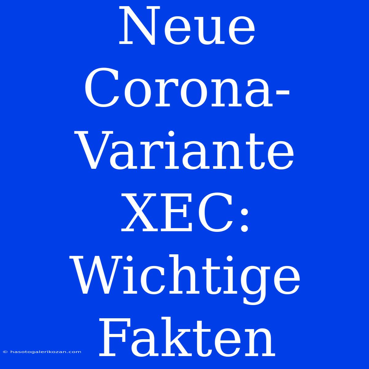 Neue Corona-Variante XEC: Wichtige Fakten