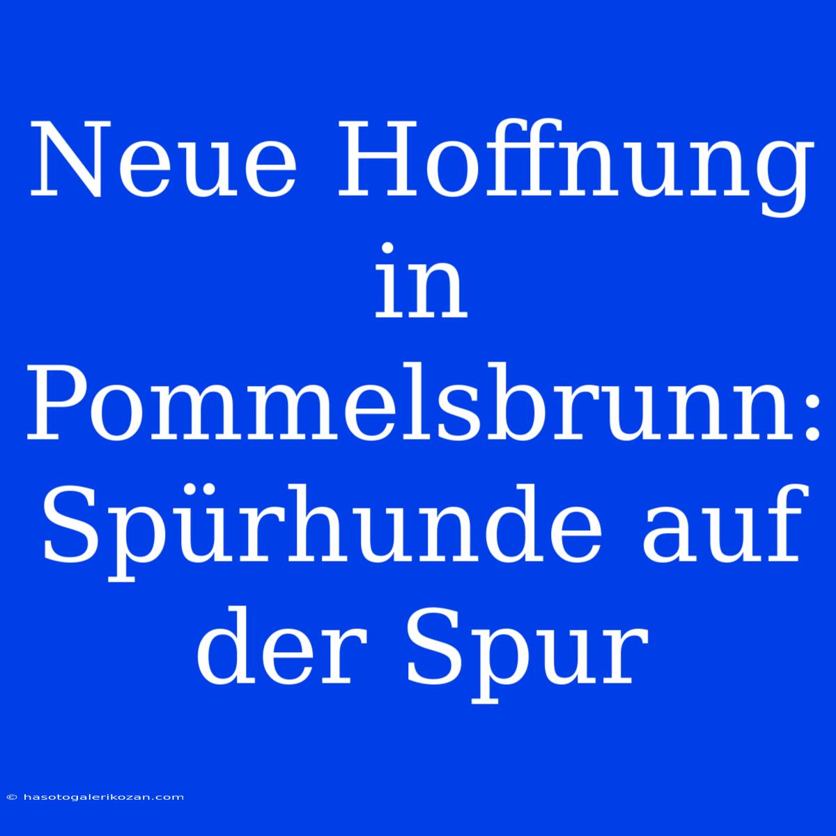 Neue Hoffnung In Pommelsbrunn: Spürhunde Auf Der Spur