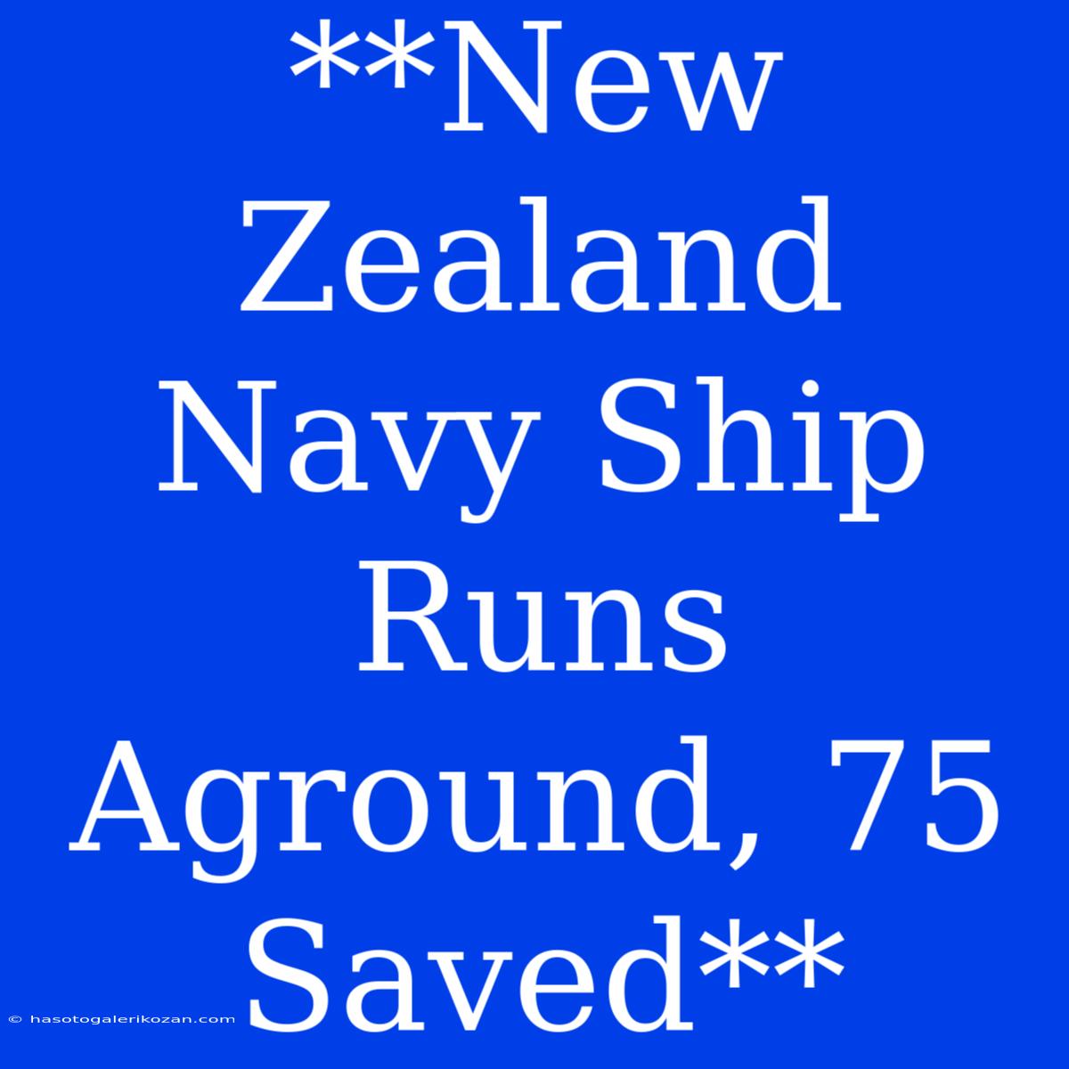 **New Zealand Navy Ship Runs Aground, 75 Saved**