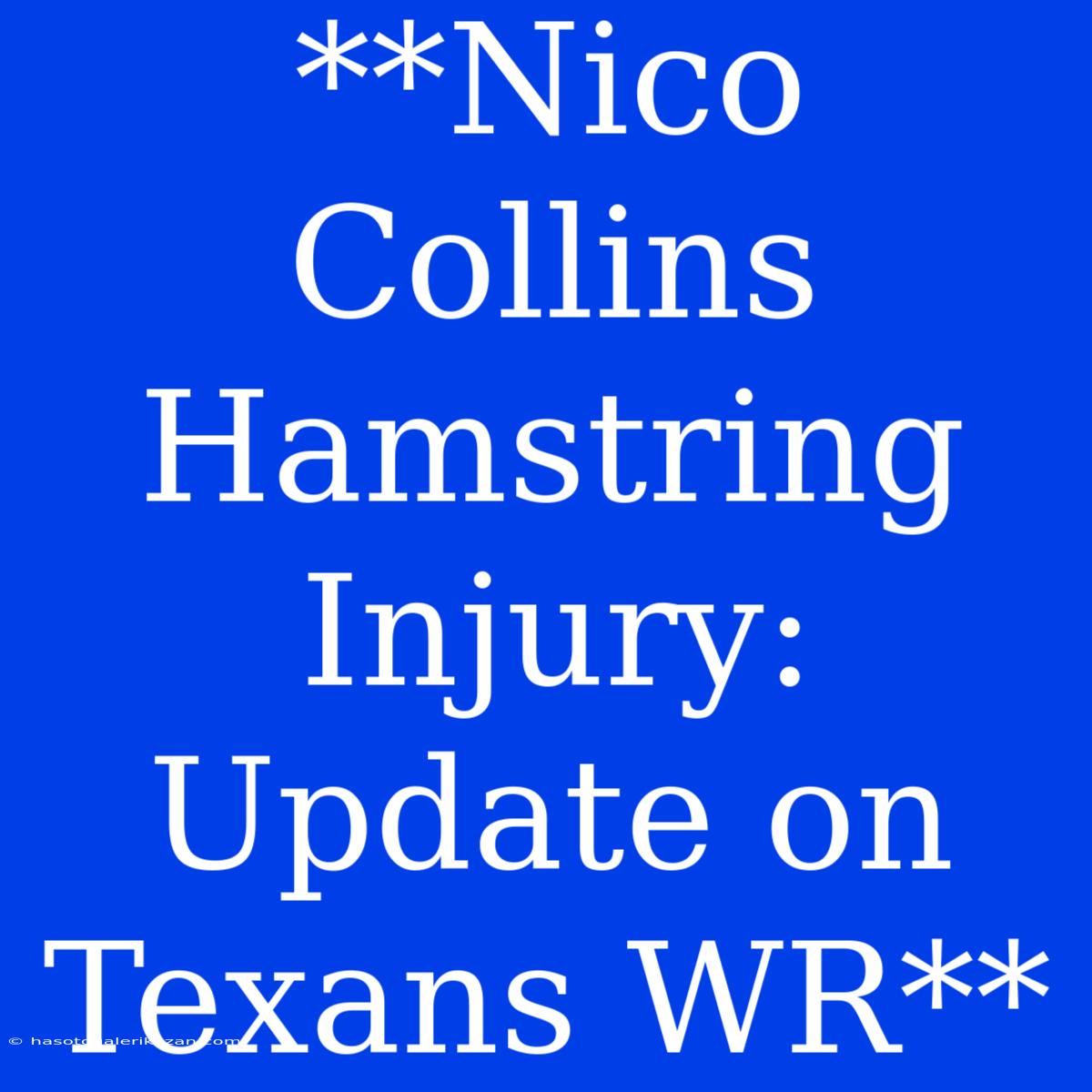 **Nico Collins Hamstring Injury: Update On Texans WR**