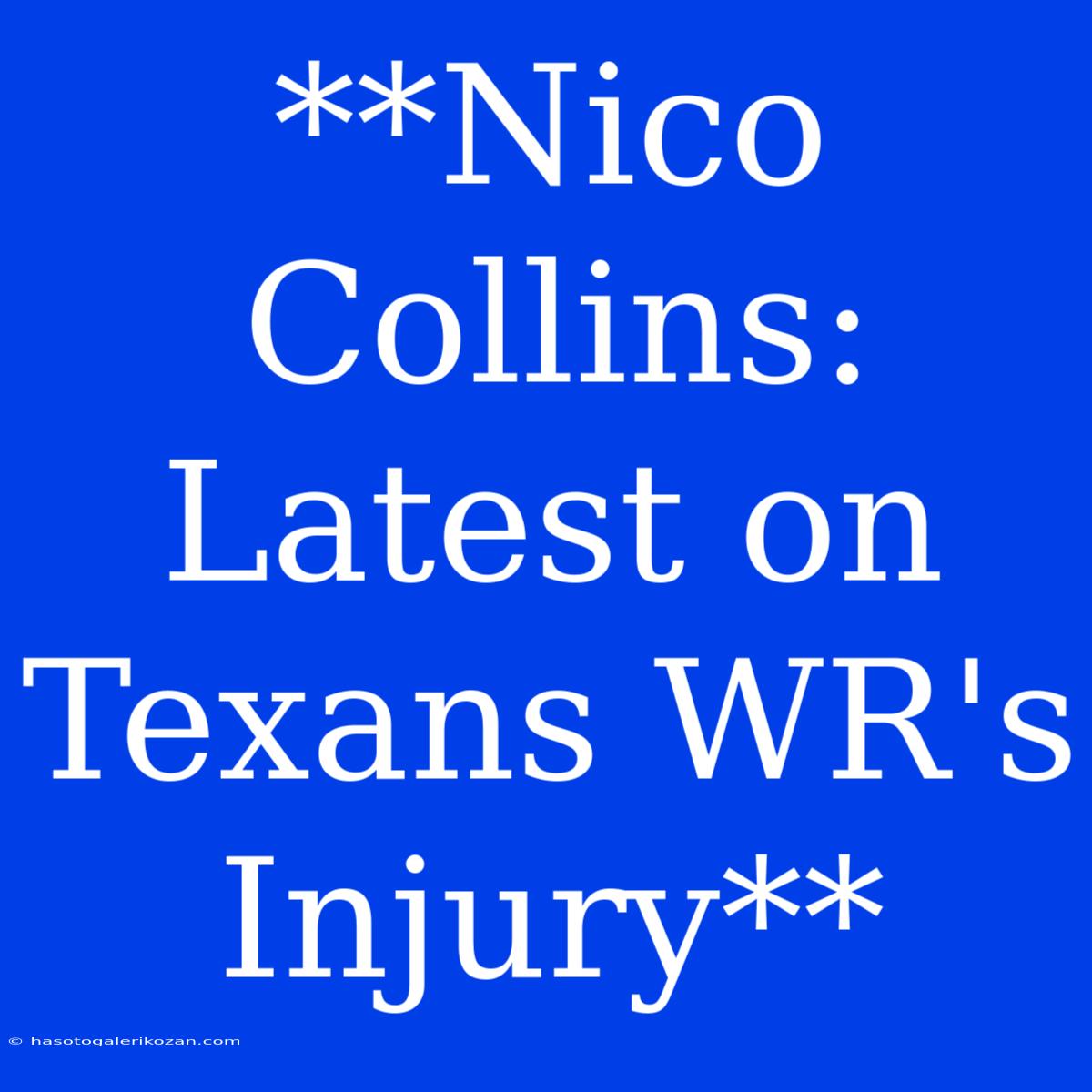 **Nico Collins: Latest On Texans WR's Injury**