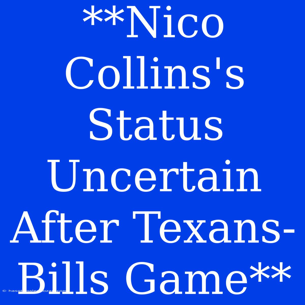 **Nico Collins's Status Uncertain After Texans-Bills Game**