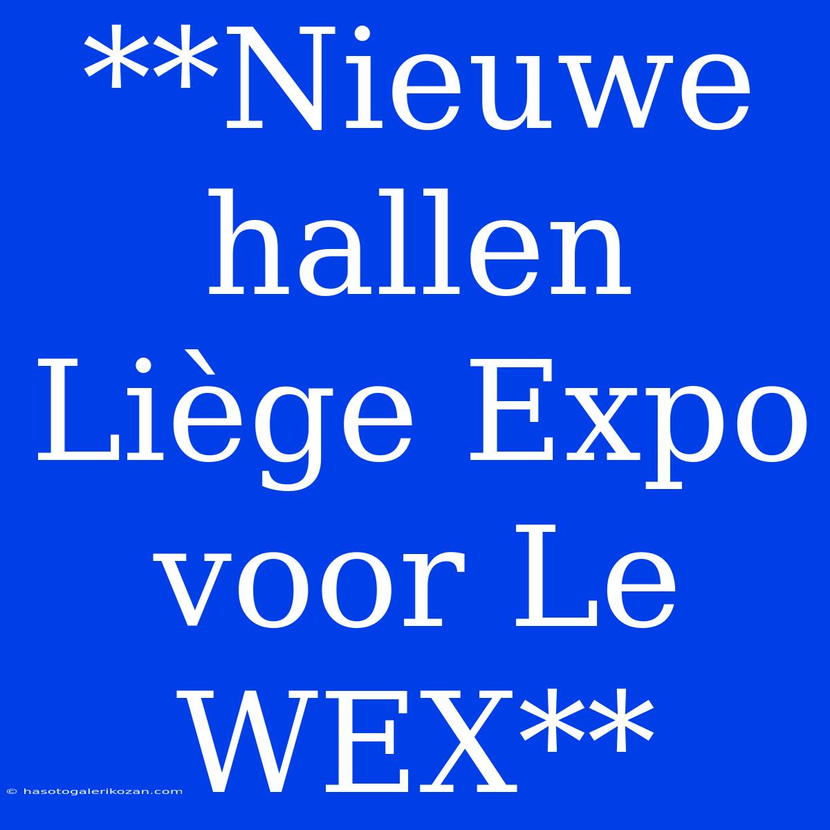 **Nieuwe Hallen Liège Expo Voor Le WEX**