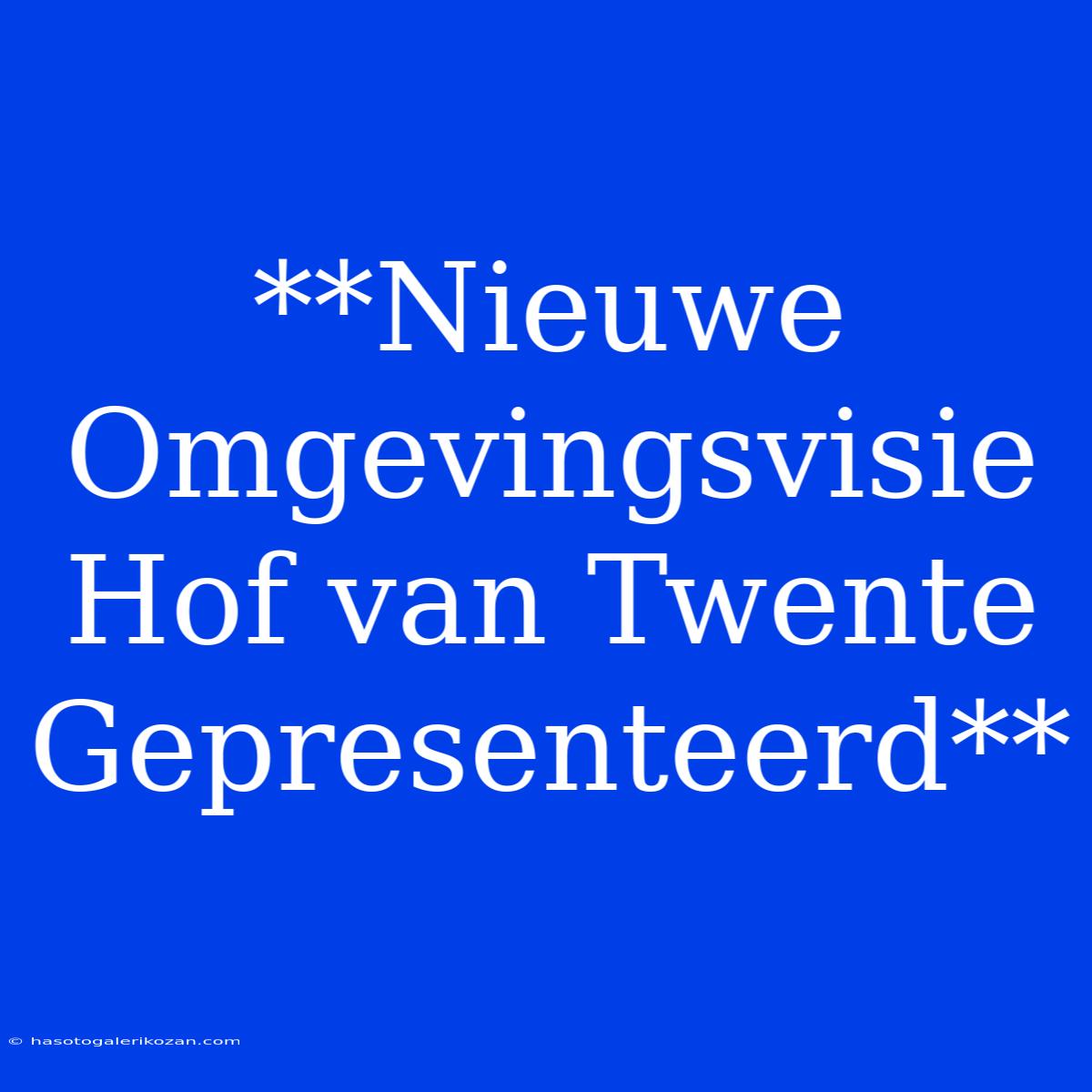 **Nieuwe Omgevingsvisie Hof Van Twente Gepresenteerd**