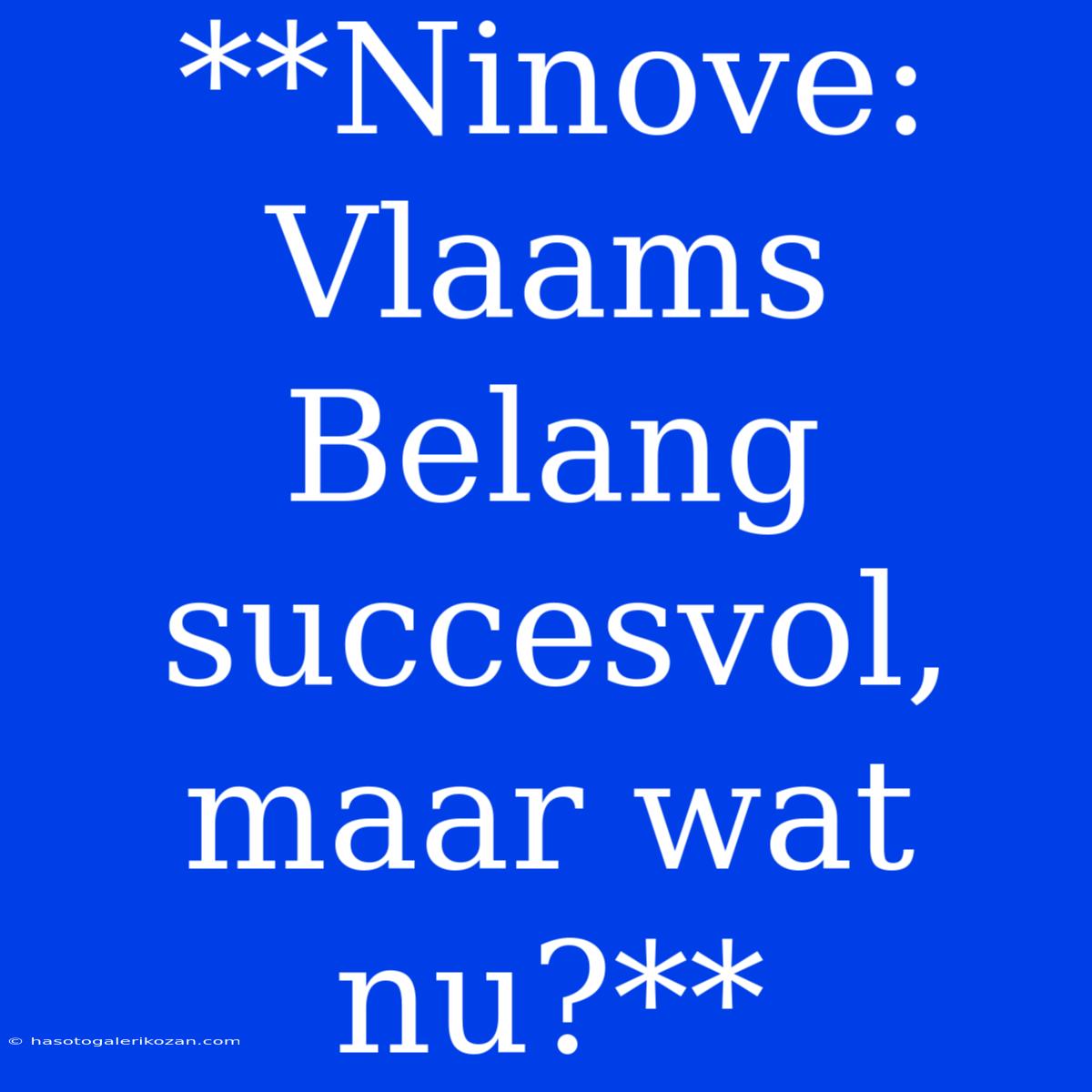 **Ninove: Vlaams Belang Succesvol, Maar Wat Nu?** 