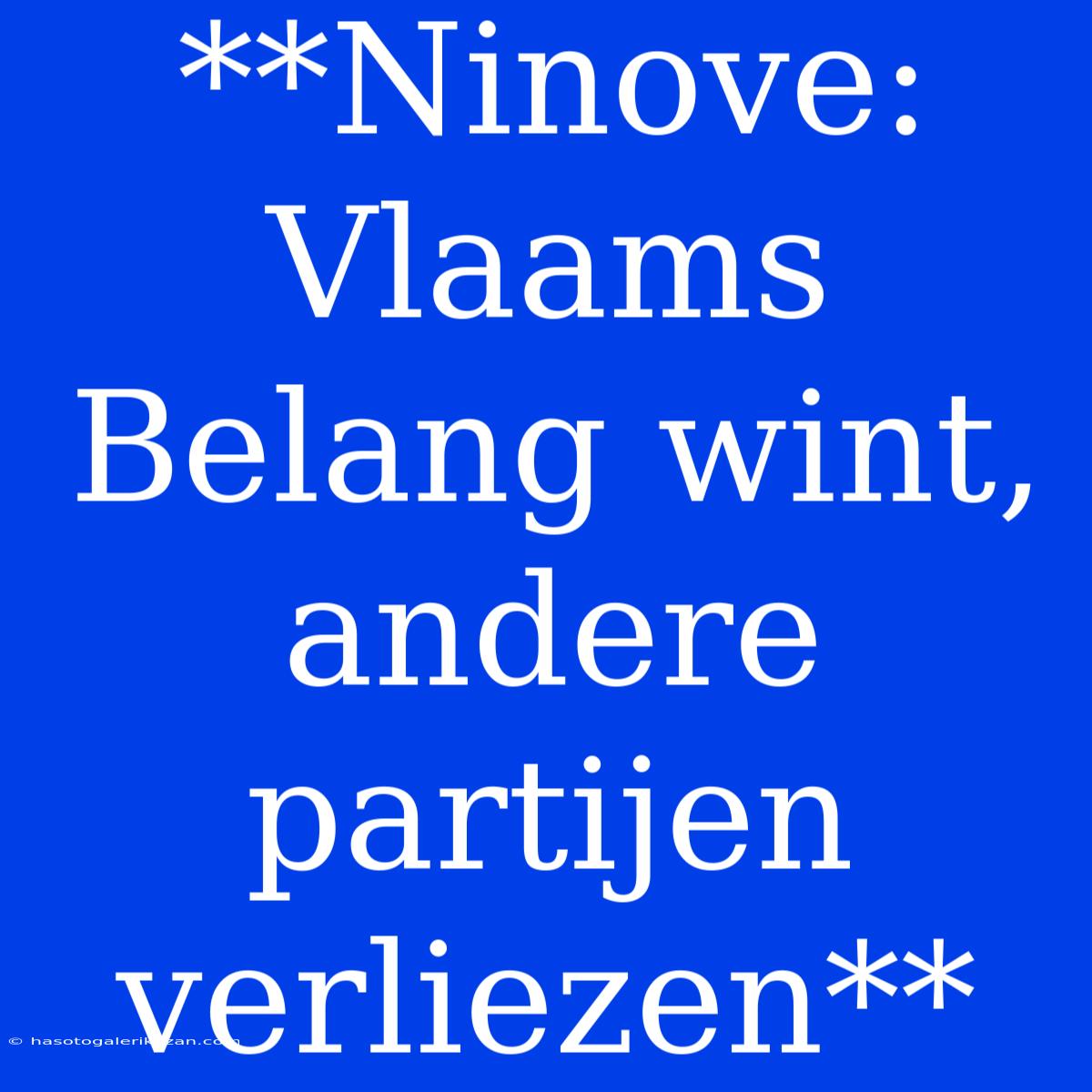 **Ninove: Vlaams Belang Wint, Andere Partijen Verliezen**