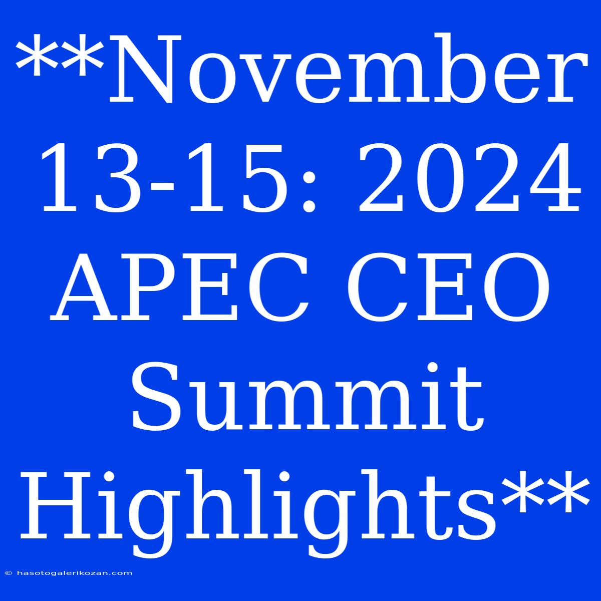 **November 13-15: 2024 APEC CEO Summit Highlights**