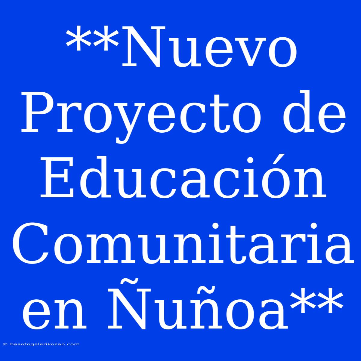 **Nuevo Proyecto De Educación Comunitaria En Ñuñoa**