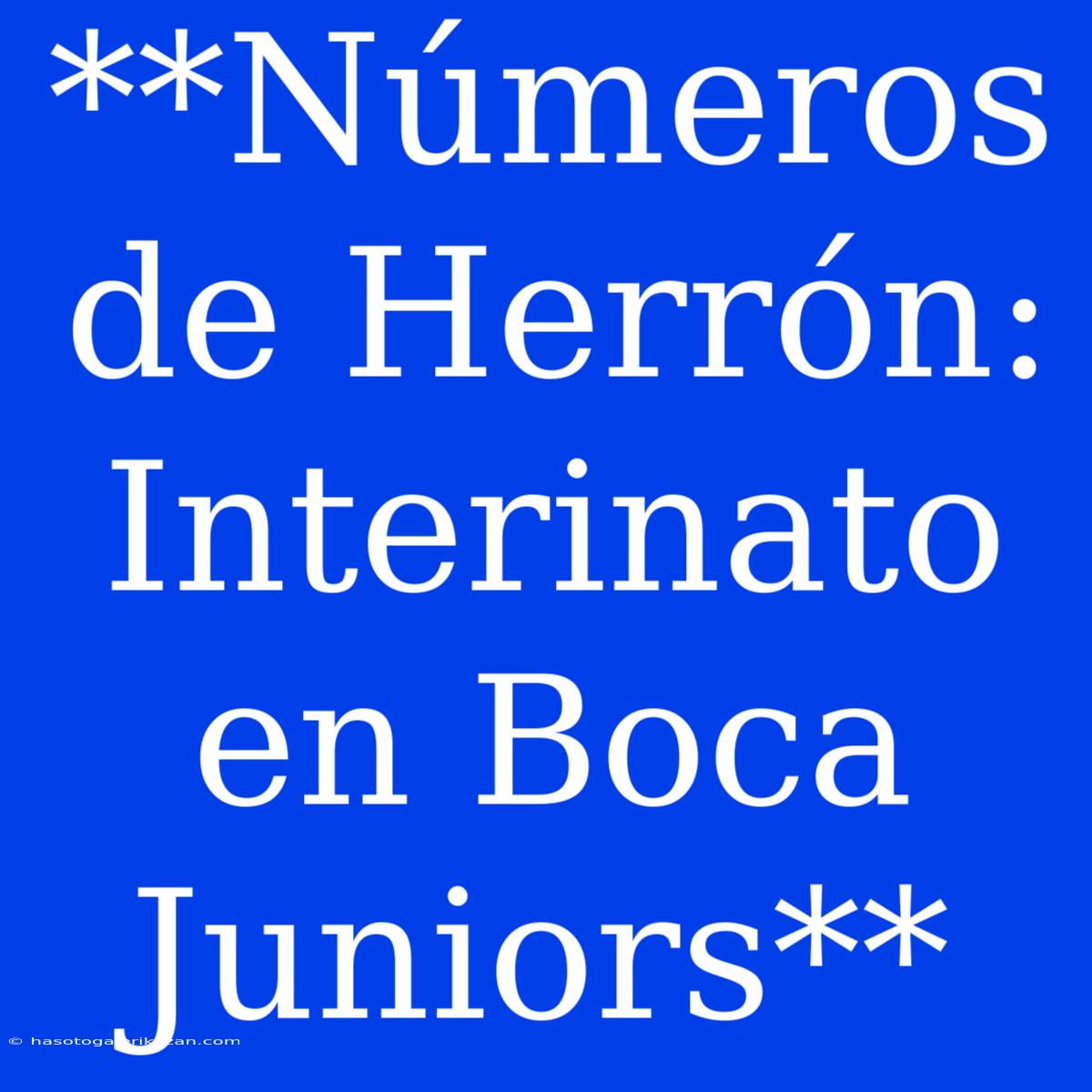 **Números De Herrón: Interinato En Boca Juniors**