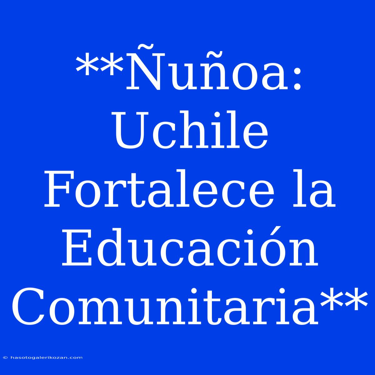 **Ñuñoa: Uchile Fortalece La Educación Comunitaria**