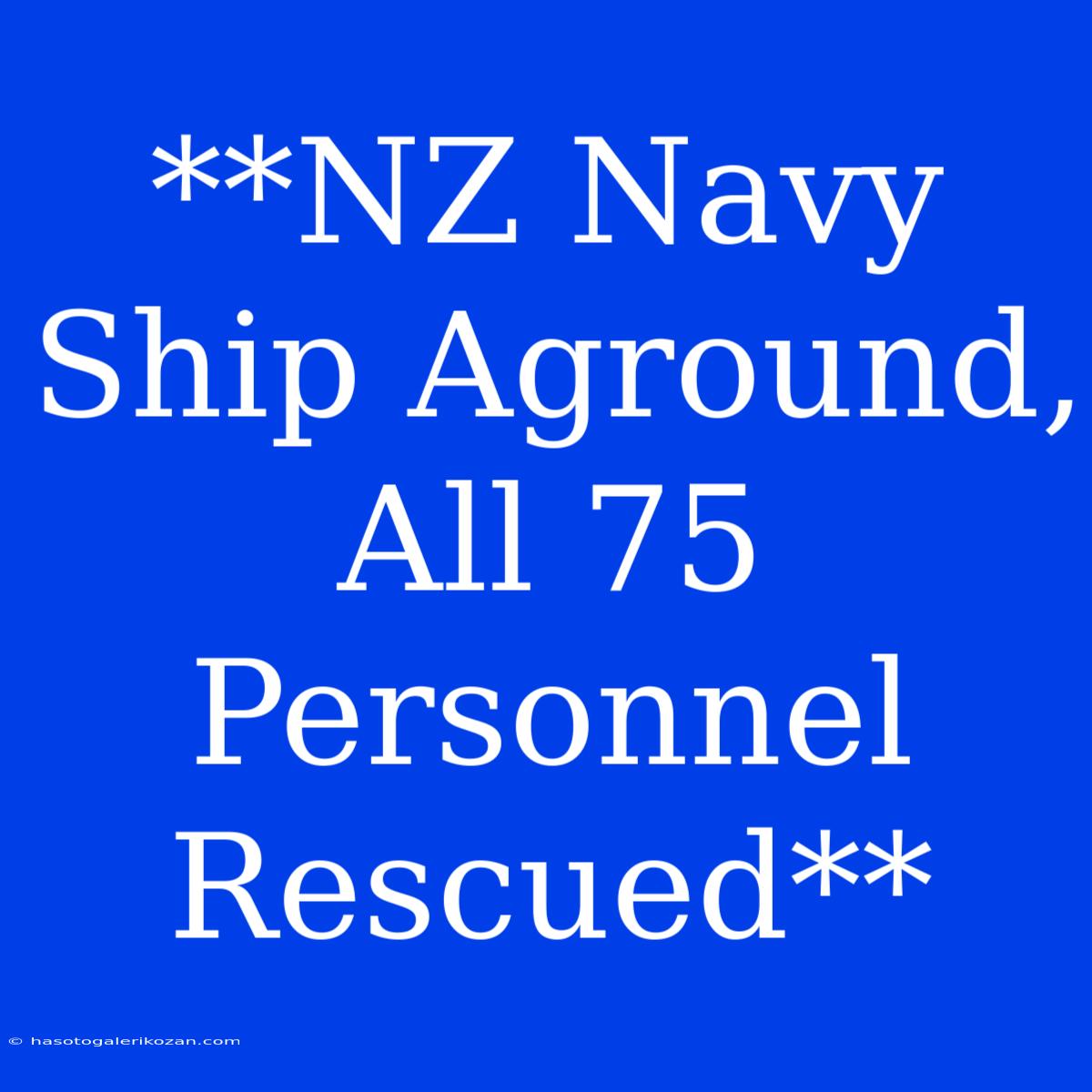 **NZ Navy Ship Aground, All 75 Personnel Rescued**