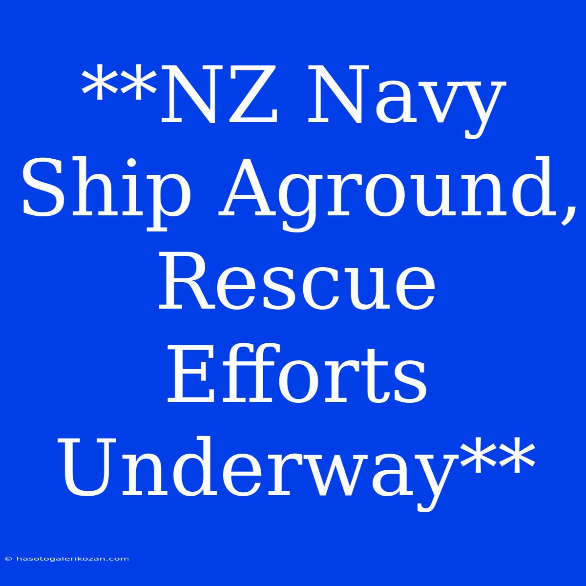 **NZ Navy Ship Aground, Rescue Efforts Underway**