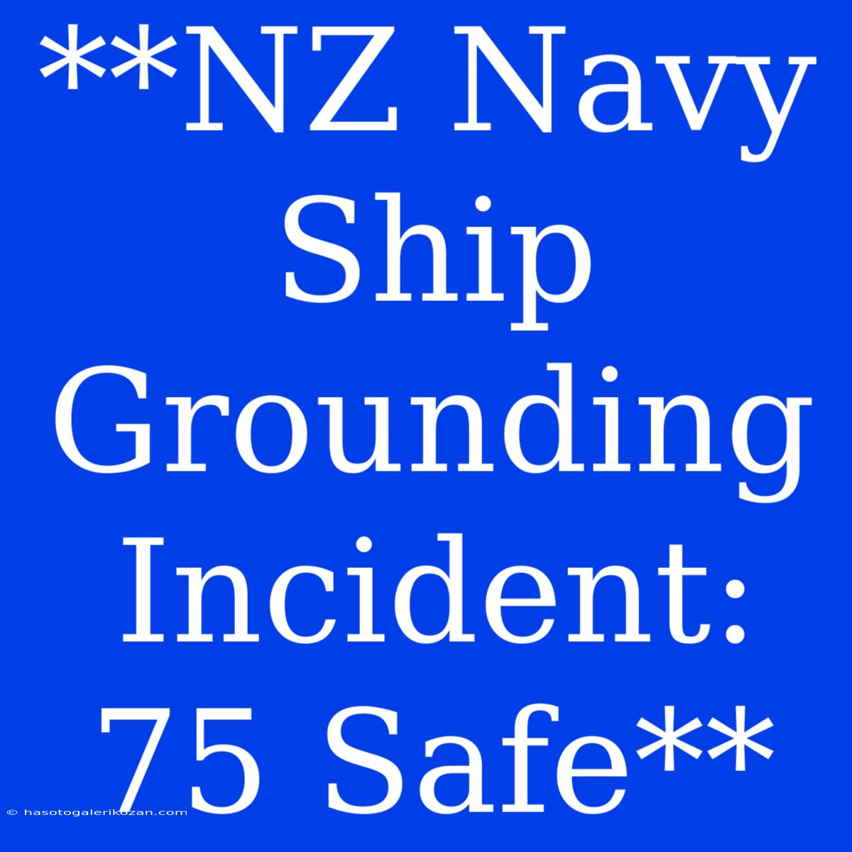 **NZ Navy Ship Grounding Incident: 75 Safe**