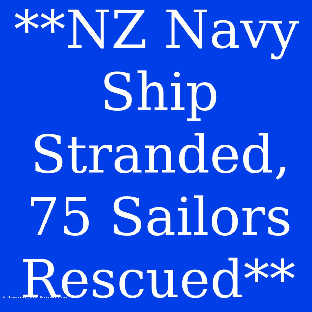 **NZ Navy Ship Stranded, 75 Sailors Rescued**