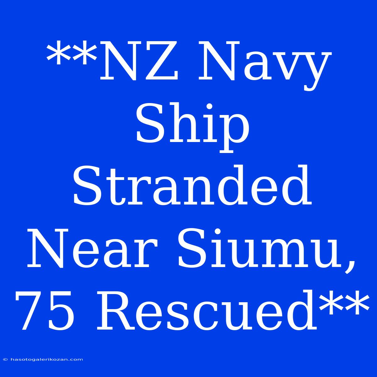 **NZ Navy Ship Stranded Near Siumu, 75 Rescued**