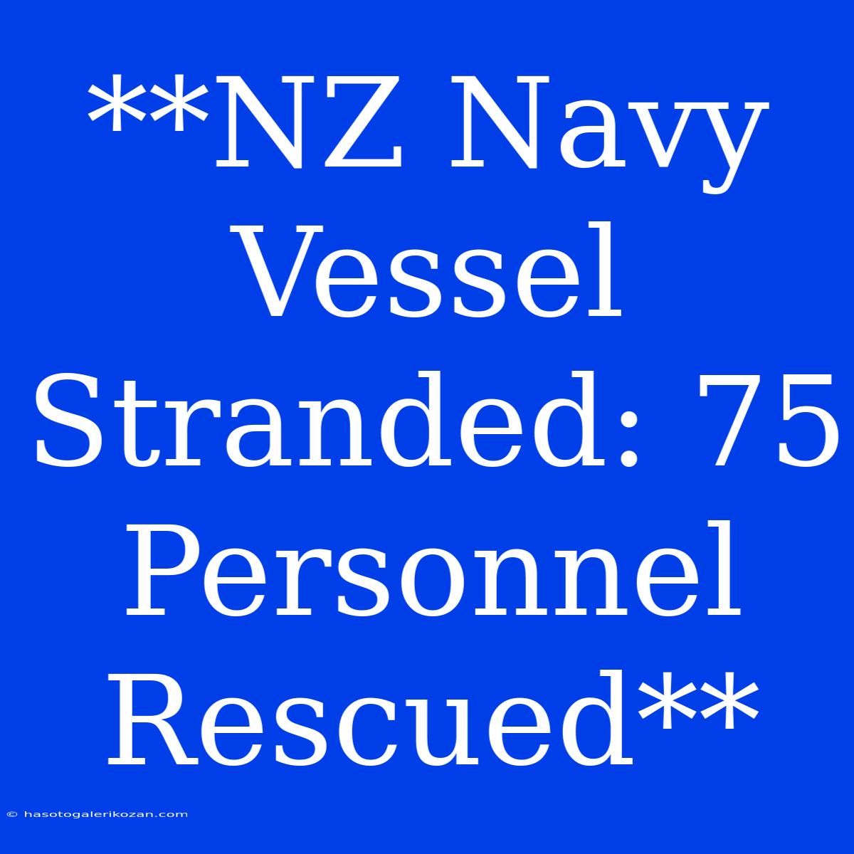 **NZ Navy Vessel Stranded: 75 Personnel Rescued**