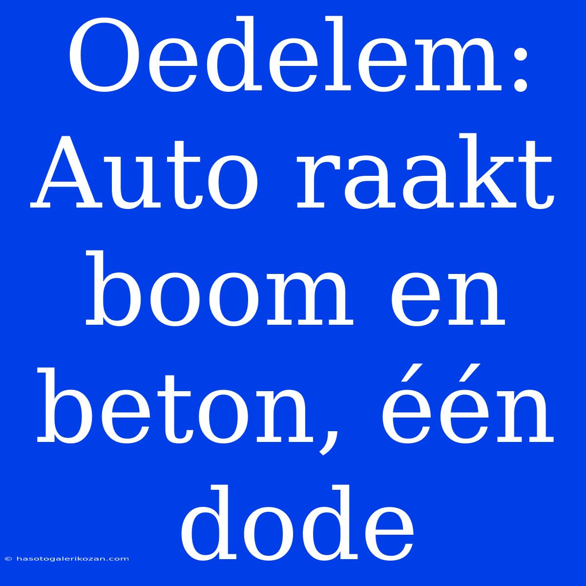 Oedelem: Auto Raakt Boom En Beton, Één Dode