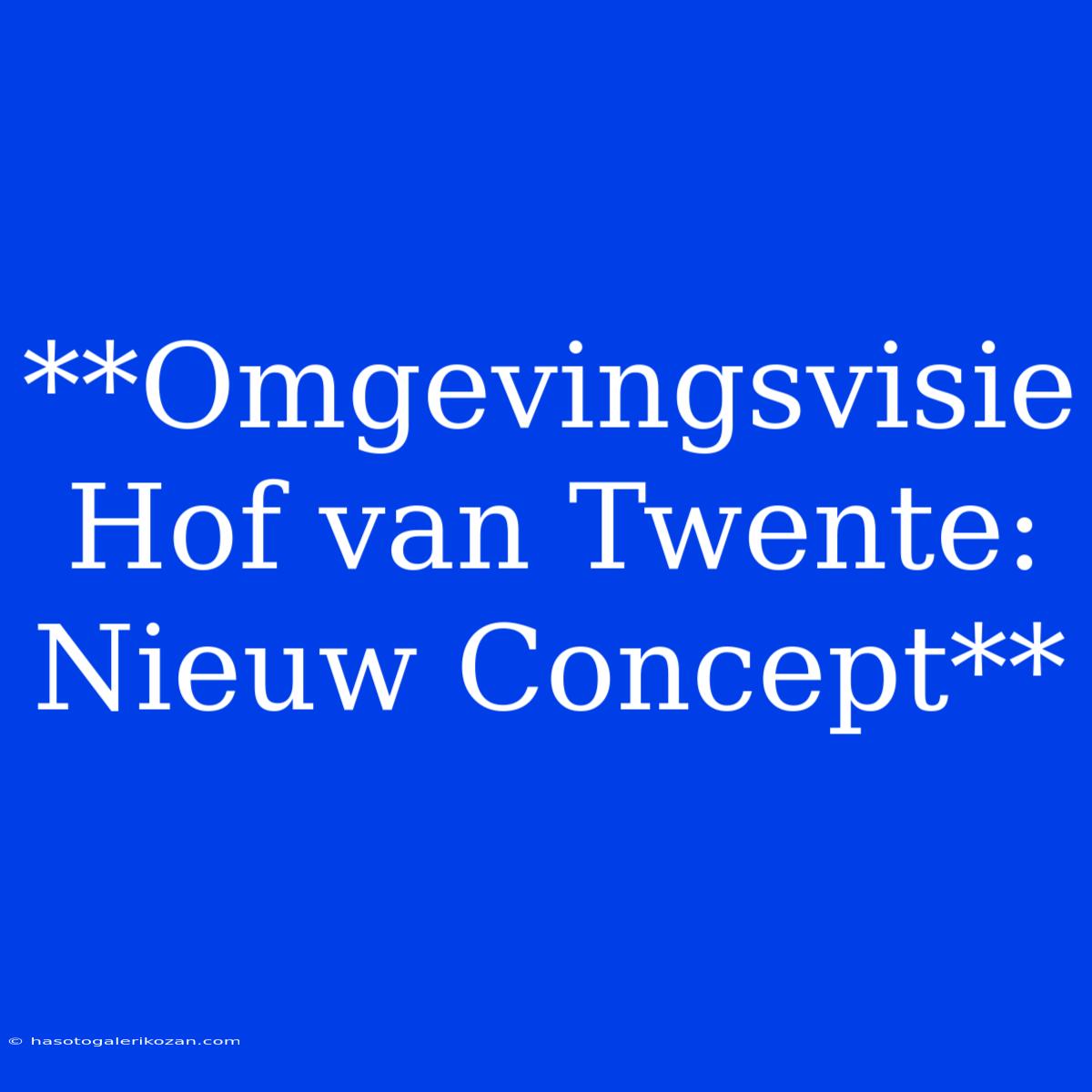 **Omgevingsvisie Hof Van Twente: Nieuw Concept**