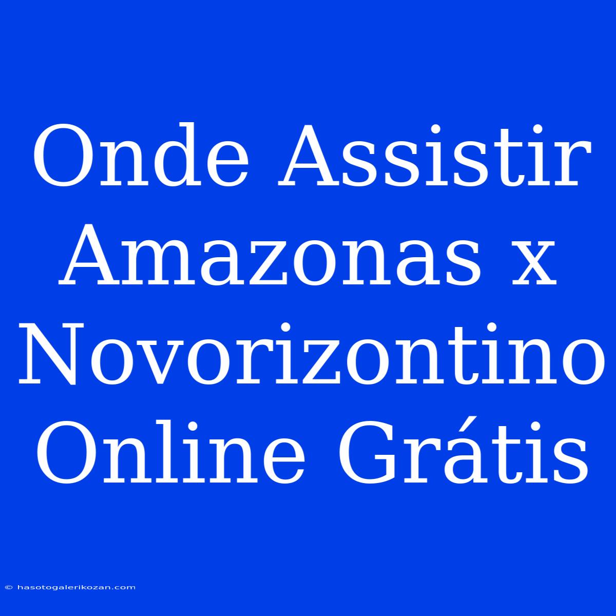 Onde Assistir Amazonas X Novorizontino Online Grátis