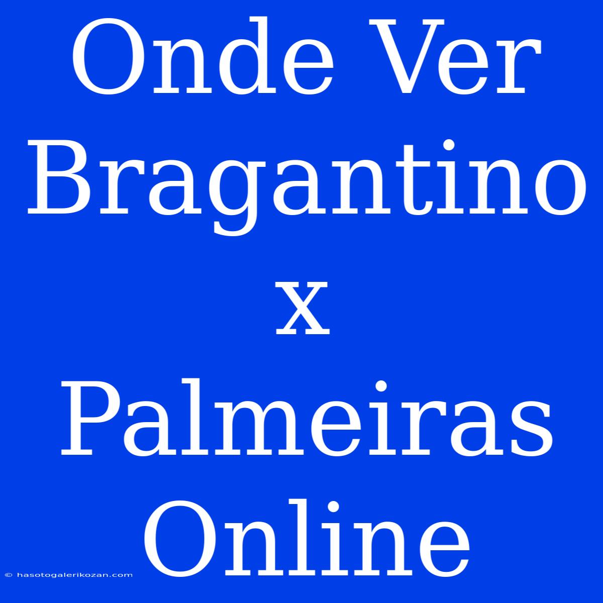 Onde Ver Bragantino X Palmeiras Online