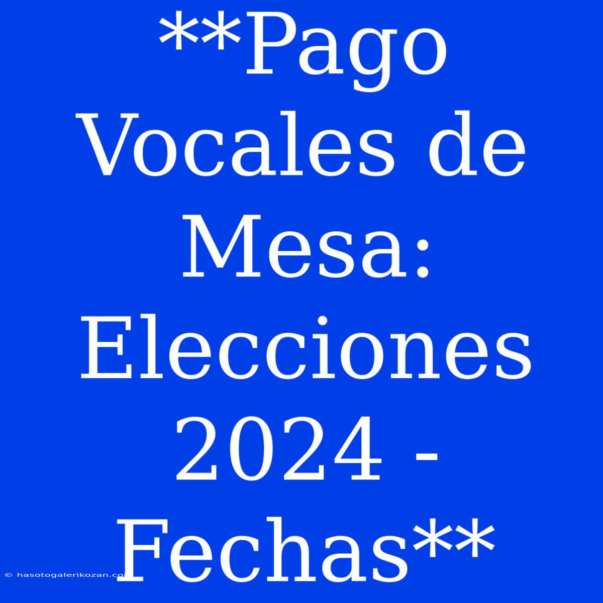 **Pago Vocales De Mesa: Elecciones 2024 - Fechas**