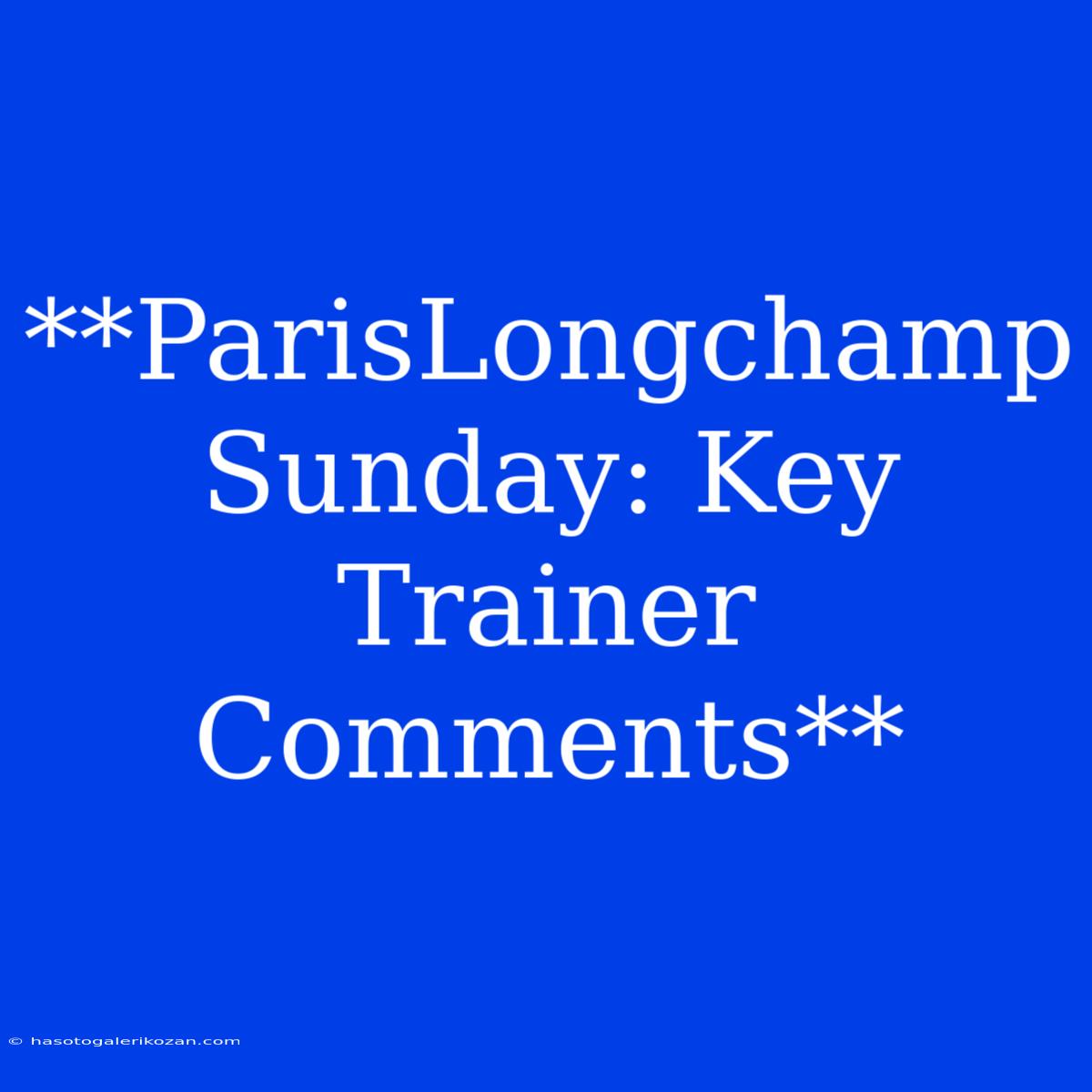 **ParisLongchamp Sunday: Key Trainer Comments** 