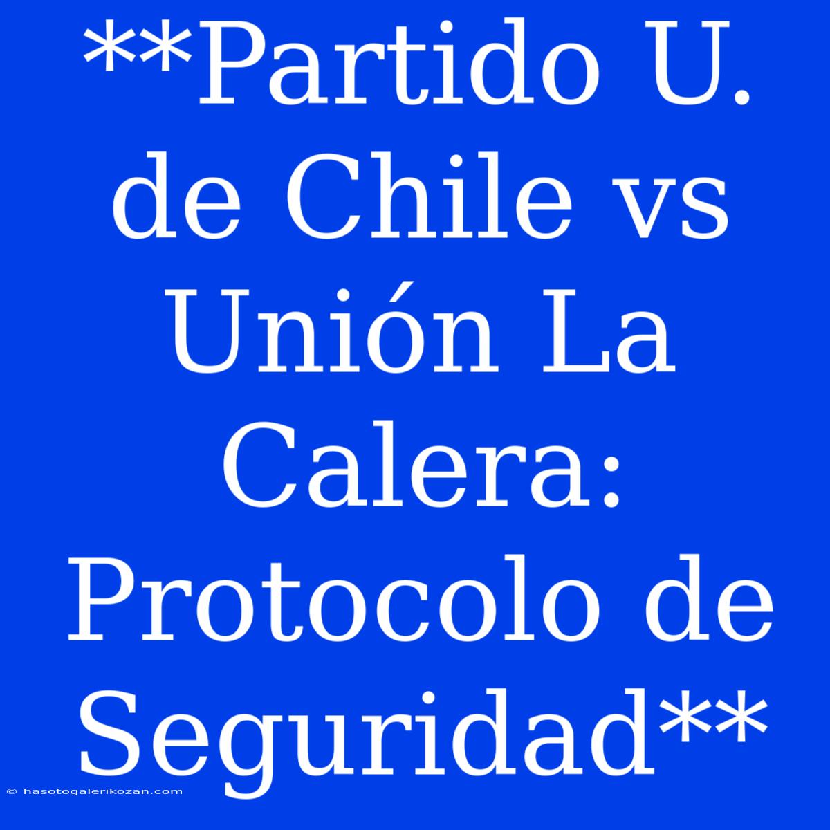 **Partido U. De Chile Vs Unión La Calera: Protocolo De Seguridad**