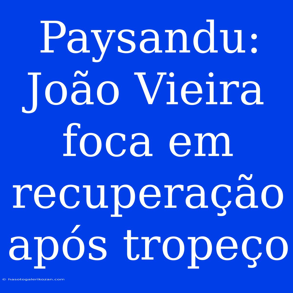 Paysandu: João Vieira Foca Em Recuperação Após Tropeço