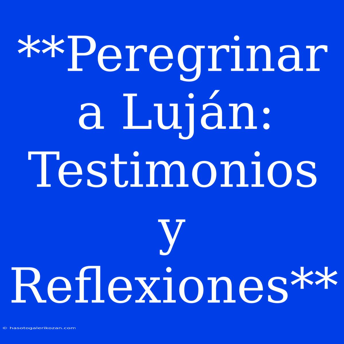 **Peregrinar A Luján: Testimonios Y Reflexiones**