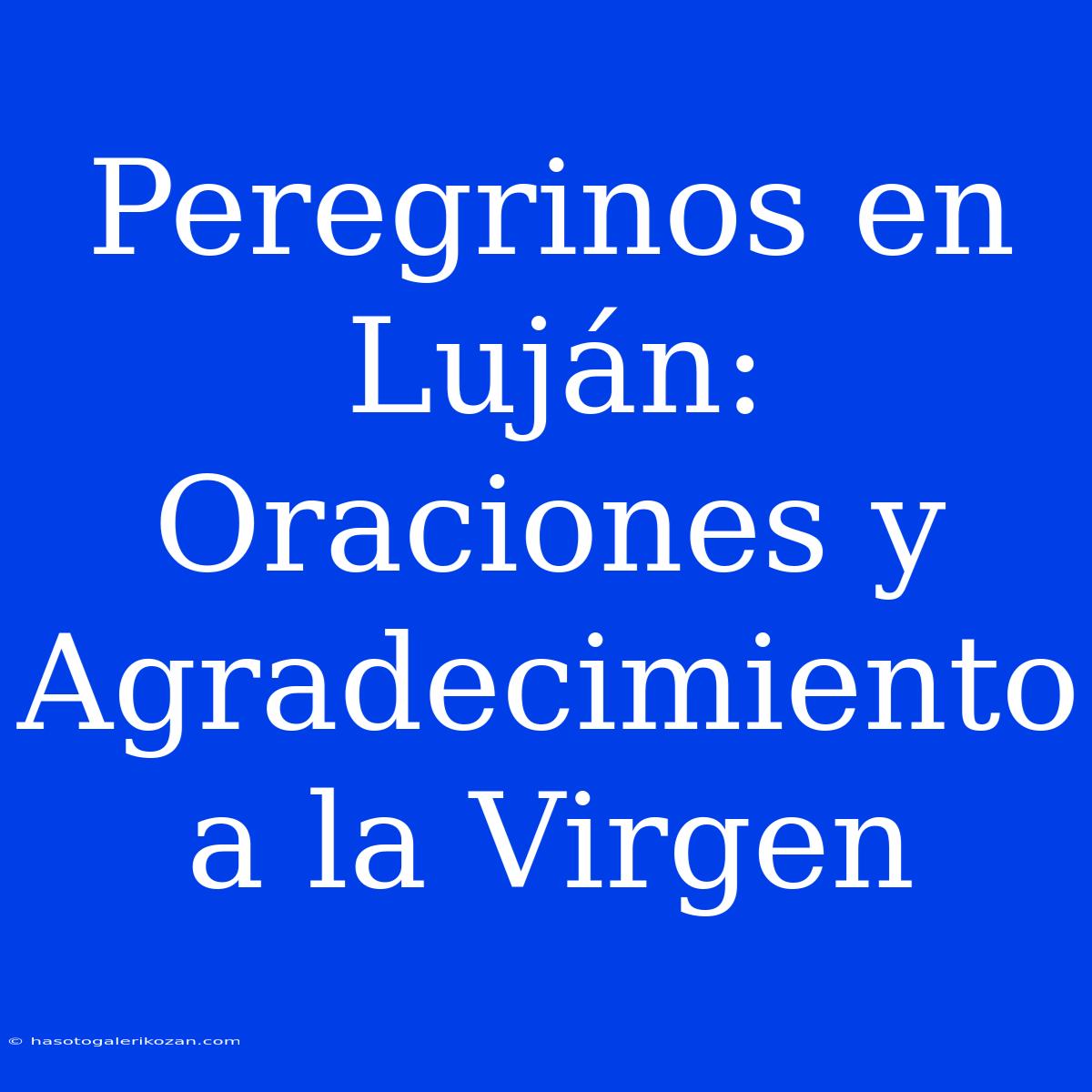 Peregrinos En Luján: Oraciones Y Agradecimiento A La Virgen