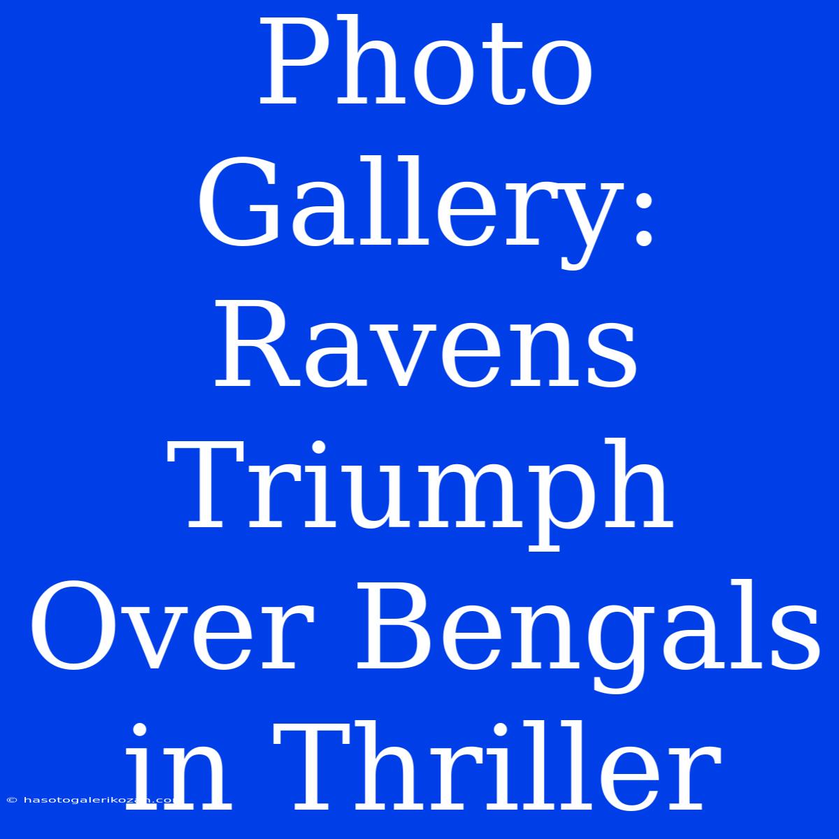 Photo Gallery: Ravens Triumph Over Bengals In Thriller