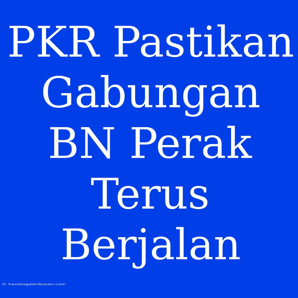 PKR Pastikan Gabungan BN Perak Terus Berjalan