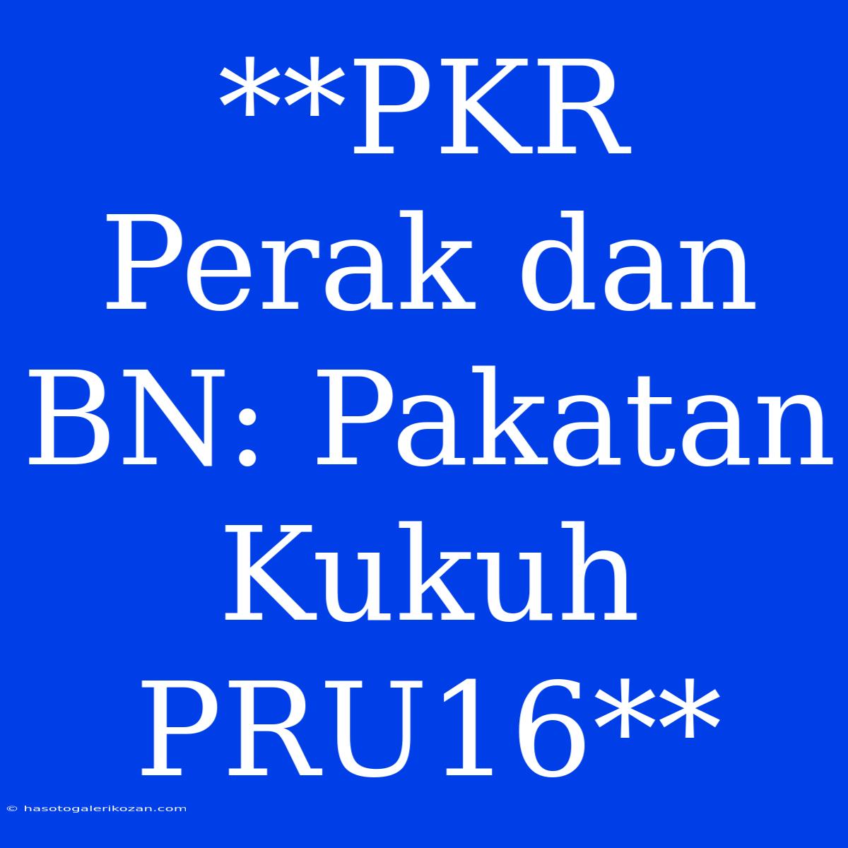 **PKR Perak Dan BN: Pakatan Kukuh PRU16**