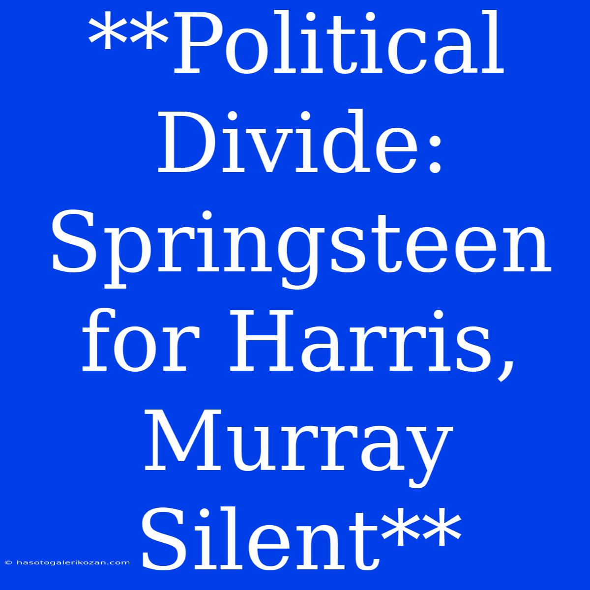 **Political Divide: Springsteen For Harris, Murray Silent**