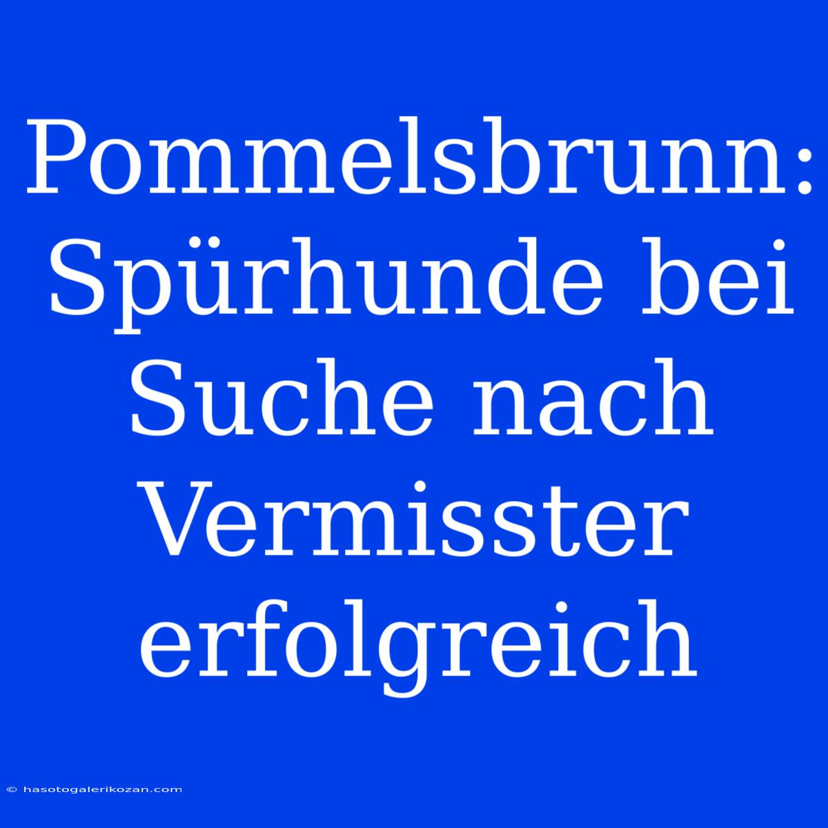 Pommelsbrunn: Spürhunde Bei Suche Nach Vermisster Erfolgreich 