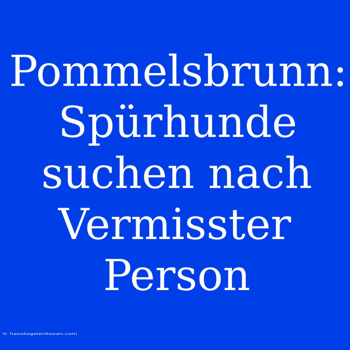 Pommelsbrunn: Spürhunde Suchen Nach Vermisster Person