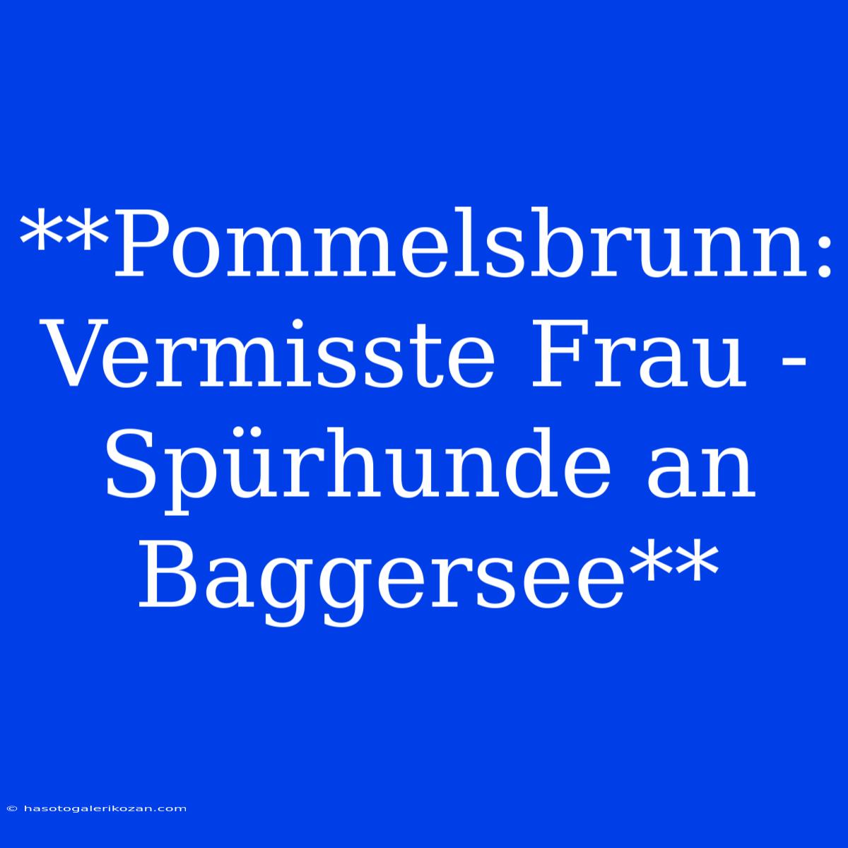 **Pommelsbrunn: Vermisste Frau - Spürhunde An Baggersee**