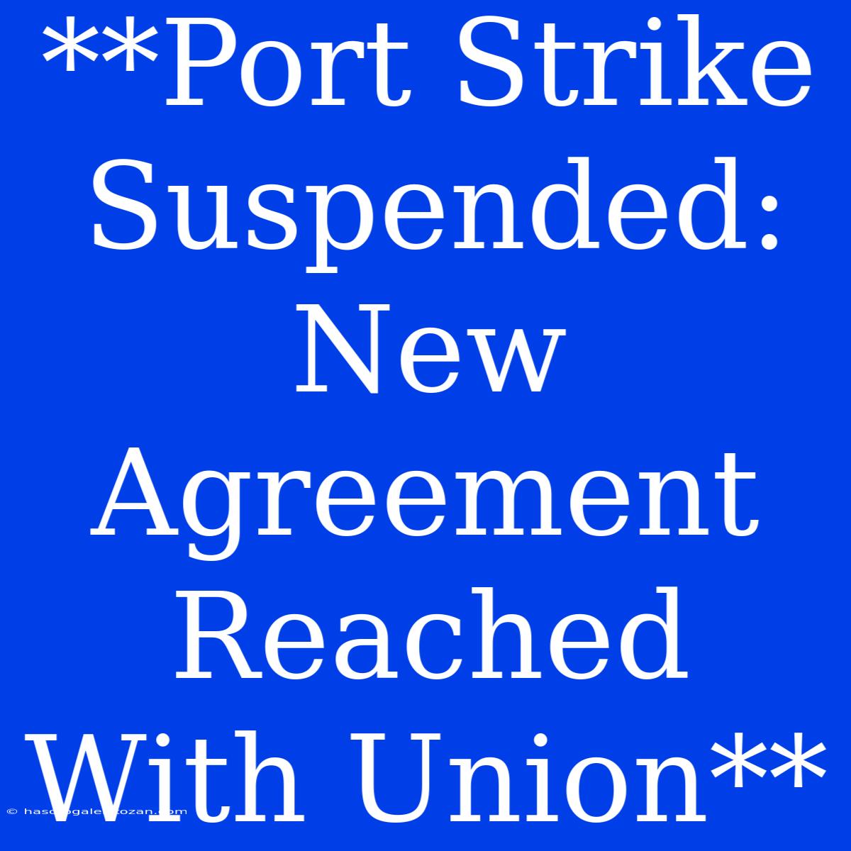 **Port Strike Suspended: New Agreement Reached With Union**