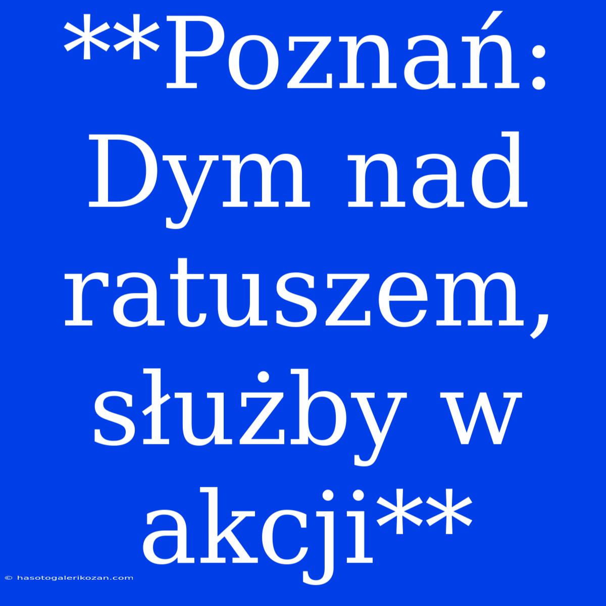 **Poznań: Dym Nad Ratuszem, Służby W Akcji**