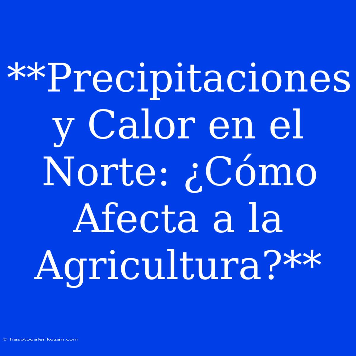 **Precipitaciones Y Calor En El Norte: ¿Cómo Afecta A La Agricultura?**