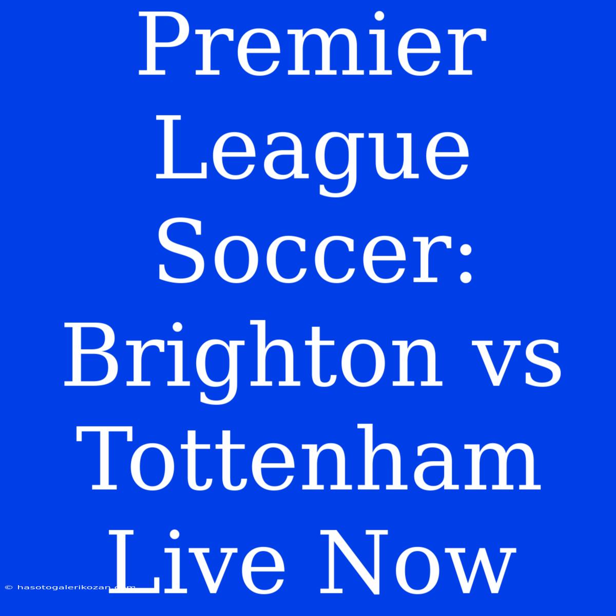 Premier League Soccer: Brighton Vs Tottenham Live Now 