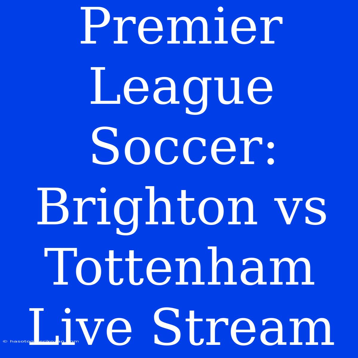 Premier League Soccer: Brighton Vs Tottenham Live Stream