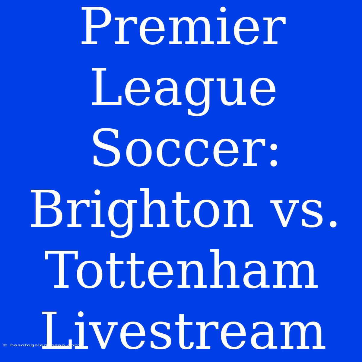 Premier League Soccer: Brighton Vs. Tottenham Livestream