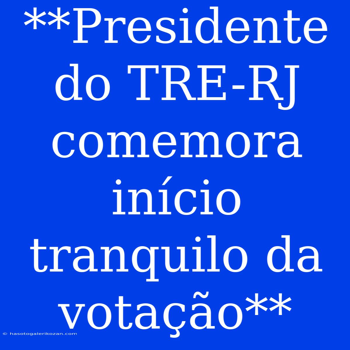 **Presidente Do TRE-RJ Comemora Início Tranquilo Da Votação**