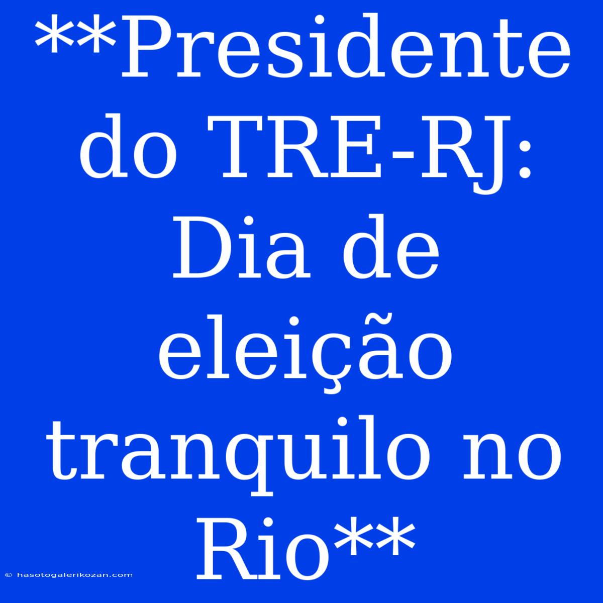 **Presidente Do TRE-RJ: Dia De Eleição Tranquilo No Rio**