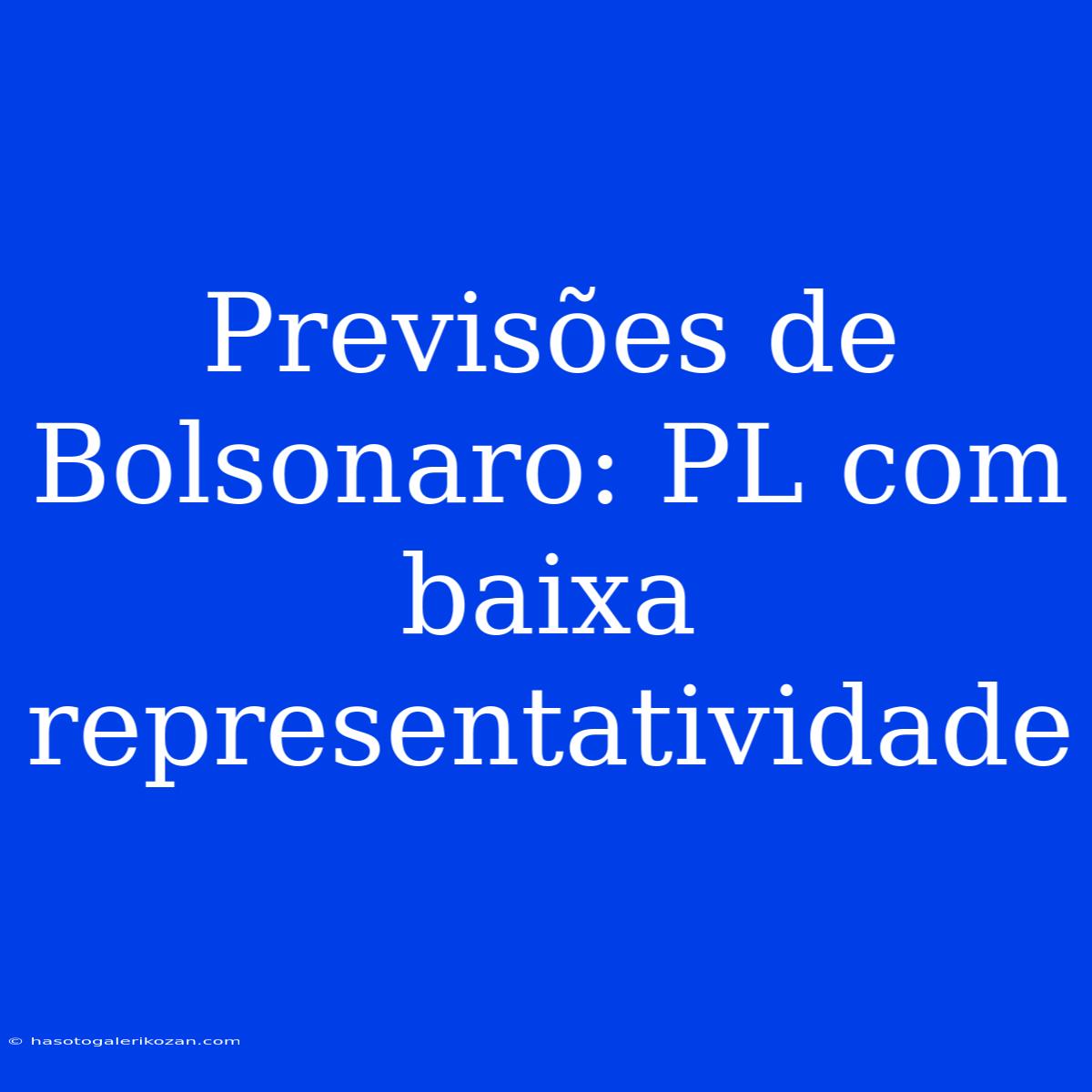 Previsões De Bolsonaro: PL Com Baixa Representatividade