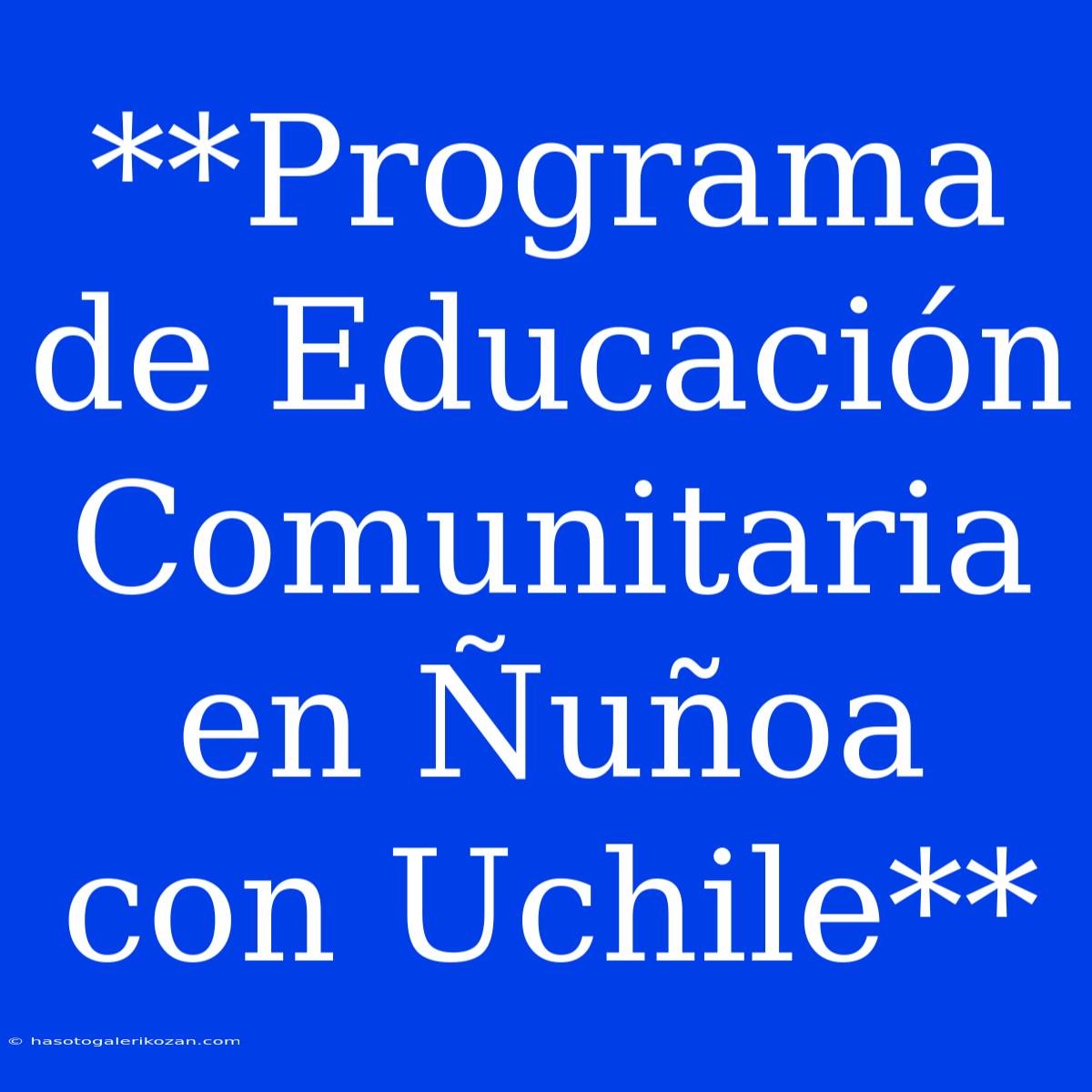 **Programa De Educación Comunitaria En Ñuñoa Con Uchile**